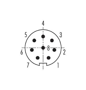 コンタクト配列（接続側） 99 0425 10 08 - M9 オスコネクタケーブル, 極数: 8, 3.5-5.0mm, シールド可能, はんだ, IP67