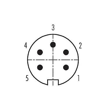 Disposición de los contactos (lado de la conexión) 99 5113 19 05 - M16 Conector de cable macho, Número de contactos: 5 (05-a), 4,0-6,0 mm, blindable, soldadura, IP67, UL
