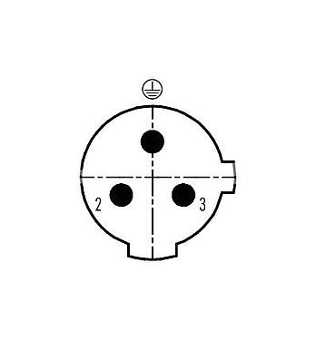 Disposición de los contactos (lado de la conexión) 99 2529 24 03 - M12 Conector macho en ángulo, Número de contactos: 2+PE, 4,0-6,0 mm, sin blindaje, tornillo extraíble, IP67