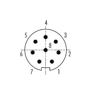 접점 배치(접속측) 99 4929 00 08 - 푸시풀 케이블 커넥터, 콘택트 렌즈: 8, 3.5-5.0mm, 차폐 가능, 솔더, IP67