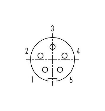 Расположение контактов (со стороны подключения) 99 0414 10 05 - M9 Кабельная розетка, Количество полюсов: 5, 3,5-5,0 мм, экранируемый, пайка, IP67