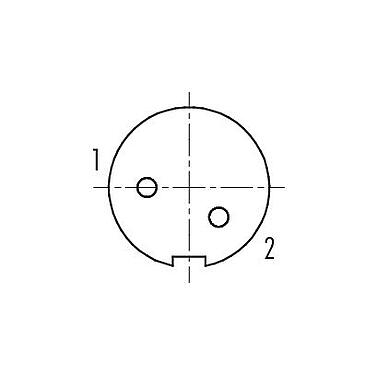 Расположение контактов (со стороны подключения) 99 0402 10 02 - M9 Кабельная розетка, Количество полюсов: 2, 3,5-5,0 мм, экранируемый, пайка, IP67
