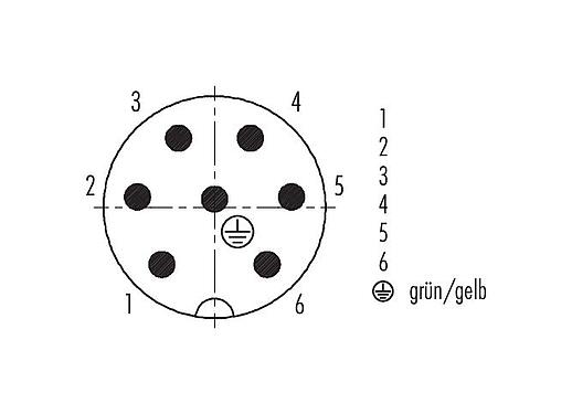 Polbild (Steckseite) 99 0213 15 07 - RD24 Kabelstecker, Polzahl: 6+PE, 10,0-12,0 mm, ungeschirmt, löten, IP67, PG 13,5