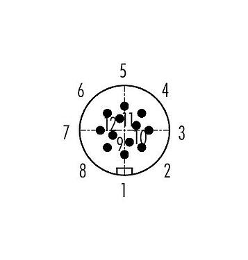 Polbild (Steckseite) 99 9133 62 12 - Snap-In Kabelstecker, Polzahl: 12, 6,0-8,0 mm, ungeschirmt, löten, IP67, UL, VDE