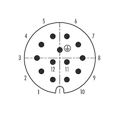 Disposition des contacts (Côté plug-in) 99 0717 03 13 - RD30 Connecteur mâle, Contacts: 12+PE, 14,0-18,0 mm, non blindé, souder, IP65