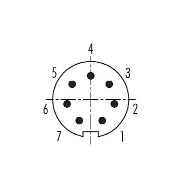 Contactconfiguratie (aansluitzijde) 99 0421 10 07 - M9 Kabelstekker, aantal polen: 7, 3,5-5,0 mm, schermbaar, soldeer, IP67
