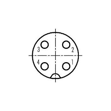 Polbild (Steckseite) 99 0440 16 04 - M18 Kabeldose, Polzahl: 4, 10,0-12,0 mm, ungeschirmt, schraubklemm, IP67