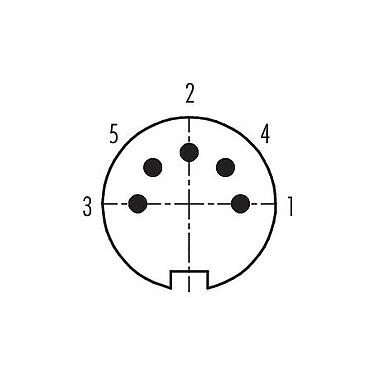 Расположение контактов (со стороны подключения) 99 5117 19 05 - M16 Кабельный штекер, Количество полюсов: 5 (05-b), 4,0-6,0 мм, экранируемый, пайка, IP67, UL