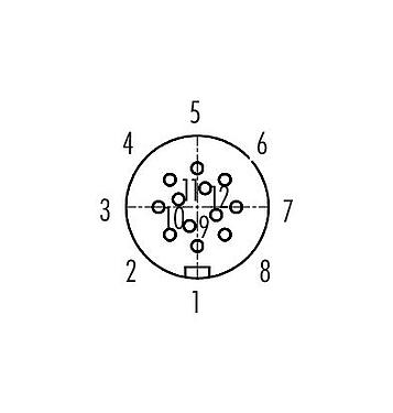 Contactconfiguratie (aansluitzijde) 99 9136 00 12 - Snap-In Female panel mount connector, aantal polen: 12, onafgeschermd, soldeer, IP67, UL, VDE