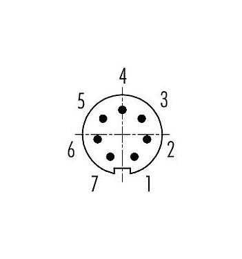 Polbild (Steckseite) 99 0475 100 07 - M9 Kabelstecker, Polzahl: 7, 3,0-4,0 mm, ungeschirmt, löten, IP40