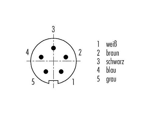 Polbild (Steckseite) 79 1413 75 05 - M9 Winkelstecker, Polzahl: 5, geschirmt, am Kabel angespritzt, IP67, PUR, schwarz, 5 x 0,25 mm², 5 m