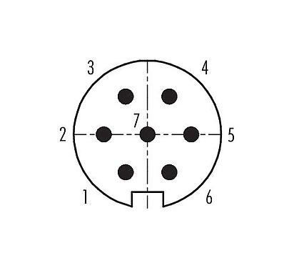 Polbild (Steckseite) 99 4825 00 07 - Push Pull Kabelstecker, Polzahl: 7, 4,0-8,0 mm, schirmbar, löten, IP67