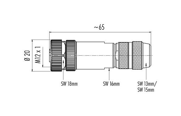 比例图 99 1438 810 05 - M12 直头孔头电缆连接器, 极数: 5, 5.0-8.0mm, 可接屏蔽, 螺钉接线, IP67, UL