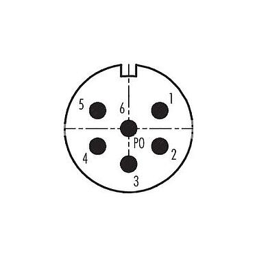 Disposition des contacts (Côté plug-in) 99 4641 00 06 - M23 Fiche d'accouplement, Contacts: 6, 6,0-10,0 mm, non blindé, souder, IP67