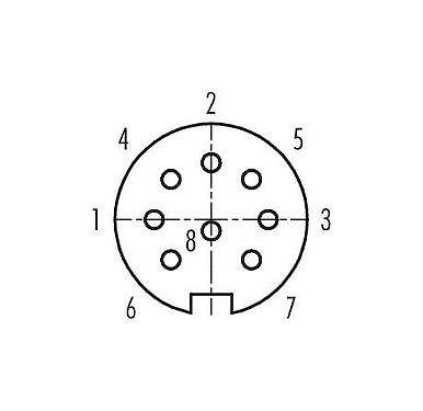 Disposición de los contactos (lado de la conexión) 99 0646 72 08 - Bayoneta Conector hembra en ángulo, Número de contactos: 8, 6,0-8,0 mm, sin blindaje, soldadura, IP40