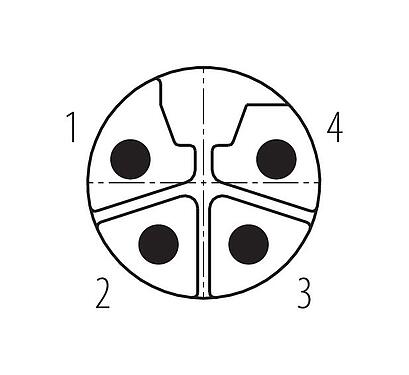 Disposition des contacts (Côté plug-in) 99 0637 29 04 - M12 Connecteur mâle, Contacts: 4, 8,0-13,0 mm, non blindé, pince à visser, IP67, UL, M12x1,0