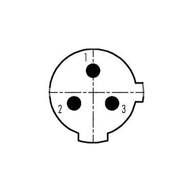 Polbild (Steckseite) 99 2429 12 03 - 1/2 UNF Kabelstecker, Polzahl: 2+PE, 6,0-8,0 mm, ungeschirmt, schraubklemm, IP67, UL