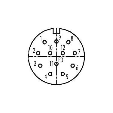 Polbild (Steckseite) 99 4616 00 12 - M23 Kupplungsdose, Polzahl: 12, 6,0-10,0 mm, ungeschirmt, löten, IP67