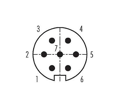 Disposición de los contactos (lado de la conexión) 99 0125 75 07 - M16 Conector macho en ángulo, Número de contactos: 7 (07-a), 6,0-8,0 mm, sin blindaje, soldadura, IP67