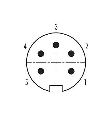 Расположение контактов (со стороны подключения) 99 4813 00 05 - Вставной-вытяжной Кабельный штекер, Количество полюсов: 5, 4,0-8,0 мм, экранируемый, пайка, IP67