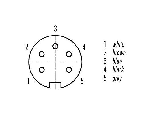 Disposition des contacts (Côté plug-in) 79 6114 20 05 - M16 Connecteur femelle, Contacts: 5 (05-a), blindé, surmoulé sur le câble, IP67, PUR, noir, 5 x 0,25 mm², 2 m