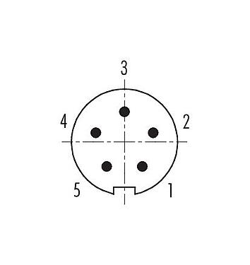 Расположение контактов (со стороны подключения) 99 0413 00 05 - M9 Кабельный штекер, Количество полюсов: 5, 3,5-5,0 мм, не экранированный, пайка, IP67