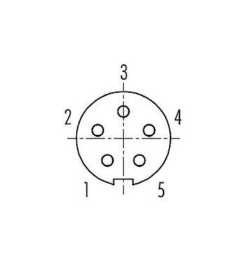 Polbild (Steckseite) 99 0996 102 05 - Bajonett Kabeldose, Polzahl: 5, 4,0-5,0 mm, ungeschirmt, löten, IP40