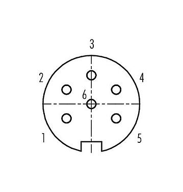 Contactconfiguratie (aansluitzijde) 99 4818 00 06 - Push Pull Kabeldoos, aantal polen: 6, 4,0-8,0 mm, schermbaar, soldeer, IP67