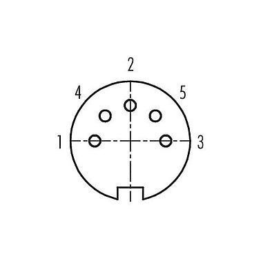 Polbild (Steckseite) 99 5618 75 05 - M16 Winkeldose, Polzahl: 5 (05-b), 6,0-8,0 mm, schirmbar, löten, IP67, UL