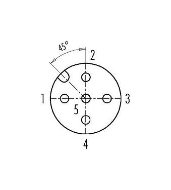 Disposición de los contactos (lado de la conexión) 99 0436 69 05 - M12 Conector hembra en ángulo, Número de contactos: 5, 6,0-8,0 mm, sin blindaje, tornillo extraíble, IP67, UL, PG 9