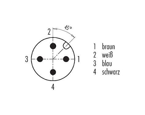 Polbild (Steckseite) 76 0231 0011 00004-0200 - M12 Flanschstecker, Polzahl: 4, ungeschirmt, Litzen, IP68, UL, M16x1,5