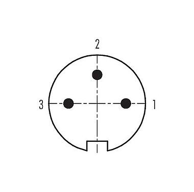 Disposition des contacts (Côté plug-in) 99 4805 00 03 - Push Pull Connecteur mâle, Contacts: 3, 4,0-8,0 mm, blindable, souder, IP67