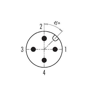 Polbild (Steckseite) 99 0429 142 04 - M12 Duo-Kabelstecker, Polzahl: 4, 2 Kabel mit Ø 2,1-3,0 mm oder Ø 4,0-5,0 mm, ungeschirmt, schraubklemm, IP67, UL