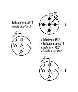Disposizione dei contatti (lato connessione) 79 5212 00 05 - M12 Scatola di distribuzione doppia, distributore a Y, maschio M12x1 - 2 femmina M12x1, Numero poli: 5, non schermato, innestabile, IP68, UL