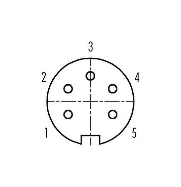 Disposición de los contactos (lado de la conexión) 99 0114 118 05 - M16 Conector hembra en ángulo, Número de contactos: 5 (05-a), 4,0-6,0 mm, sin blindaje, soldadura, IP67