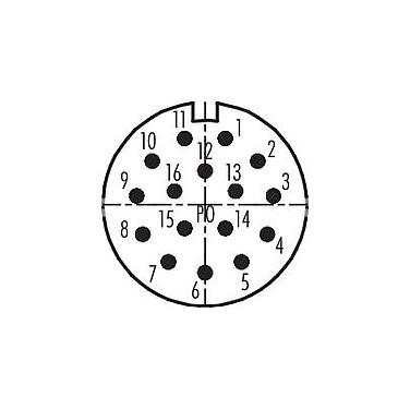 Polbild (Steckseite) 99 4629 00 16 - M23 Kupplungsstecker, Polzahl: 16, 6,0-10,0 mm, schirmbar, löten, IP67