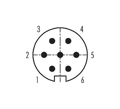 Disposition des contacts (Côté plug-in) 99 0621 70 07 - Baïonnette Connecteur mâle coudé, Contacts: 7, 4,0-6,0 mm, non blindé, souder, IP40