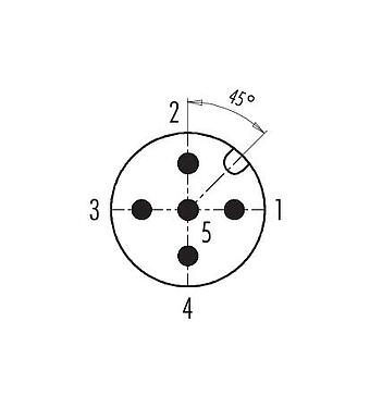 Disposition des contacts (Côté plug-in) 99 0437 142 05 - M12 Duo-connecteur mâle, Contacts: 5, 2 x câble Ø 2,1-3,0 mm ou Ø 4,0-5,0 mm, non blindé, pince à visser, IP67, UL