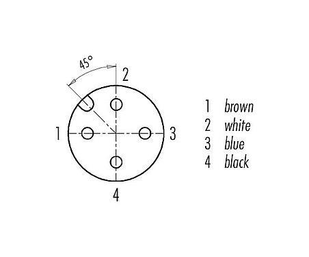 Sắp xếp liên hệ (phía kết nối) 77 0606 0000 50704-0200 - M12 Ổ cắm cáp, Số lượng cực : 4, không có chống nhiễu, ép phun vào dây cáp, IP69K, PUR, màu đen, 4x1,50mm², 2m